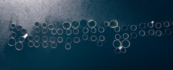 Fish farm in the water. Top view from drone of the fish farm © EdVal