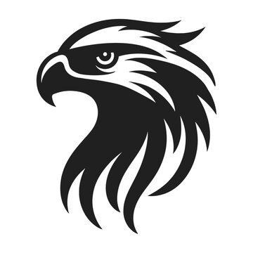 Premium Quality Hawk Head silhouette Illustration Design.