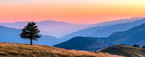 Obraz premium Solitary tree on mountainside at sunrise, panoramic view. Tranquil nature and serenity concept