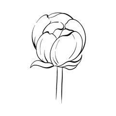 Vintage beautiful rose button, retro style. Romantic spring peonies flower for postcards, wedding, greeting card, printing. Isolated. Graphic vector line, hand drawn, black silhouette for cricut