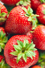 juicy ripe strawberries close up