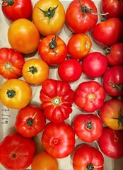 Heirloom tomatoes 