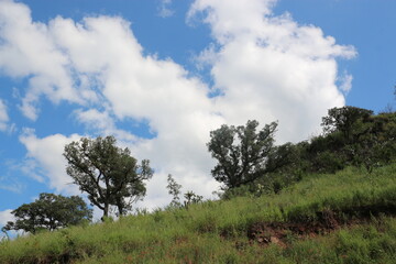 Obraz premium Mountain next to the Papigochi river