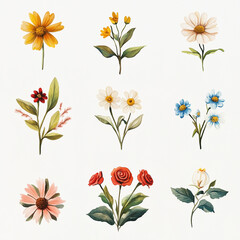 Botanical watercolour set of bright colourful flowers on white background