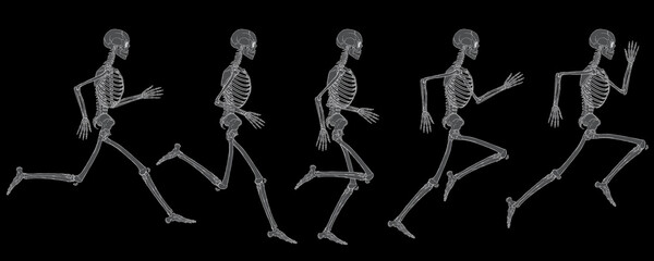 X-Ray View Of the Running Cycle Of Human Skeleton Vector Drawing