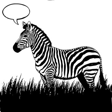Stylized Zebra Illustration in Grass with Speech Bubble