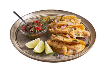 Delicious tacos filled with meat served on a plate. Isolated on white background. Full depth of field.