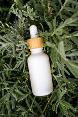 White oil dropper bottle nestled among vibrant green foliage