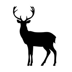 Obraz premium silhouette of deer