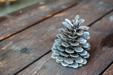 Pinecone on a wooden table with copy space for text. Pinecone on a wooden background.