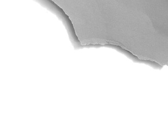 Torn rip paper texture on white background.