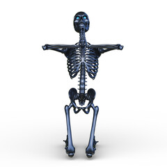 骸骨　3DCGレンダリング