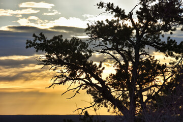 The Grand Canyon at Sunrise
