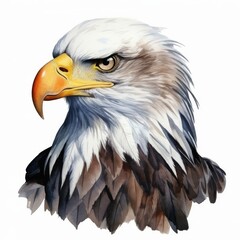 Obraz premium Majestic Bald Eagle Head Illustration - Realistic Wildlife Art of Bird of Prey, Perfect for Nature and Wildlife Enthusiasts