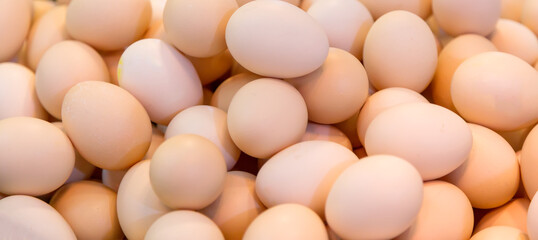 Chicken eggs as a background. Banner wide format