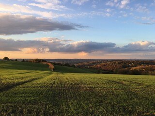 Obraz premium sunset over the field