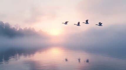 Fototapeta premium A flock of geese flying over a misty lake at dawn, with the water reflecting the soft morning light.