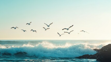 Fototapeta premium A flock of seagulls flying over the ocean, with the waves crashing below and the sky clear above.