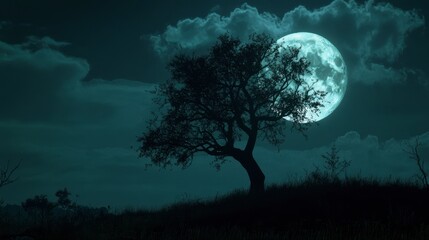 A silhouette of a tree against the backdrop of a full Moon, creating a haunting and mysterious atmosphere.