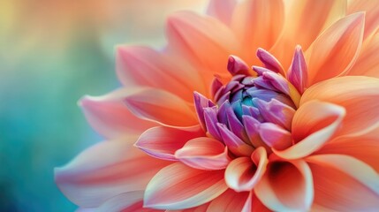 Fototapeta premium Detailed close-up of a vibrant flower, showcasing its colorful petals and natural beauty, with a soft garden background