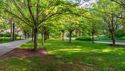 Fototapeta premium International Clean Energy Day, Bright urban green space exemplifying zero carbon emissions and sustainable urban planning