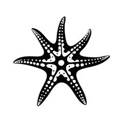 Starfish Silhouette Icon - Transparent Background Clipart