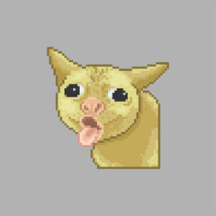 Cat with a strange face, pixel art meme