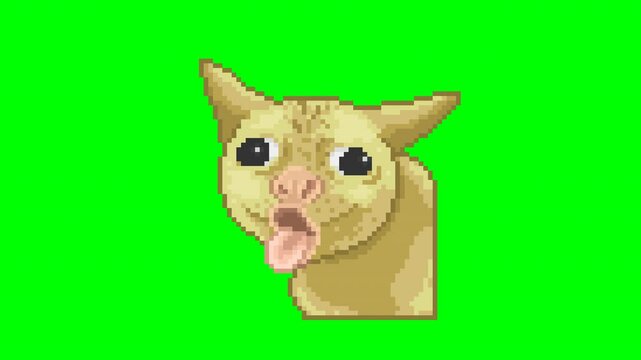 Cat with a strange face, pixel art animation meme