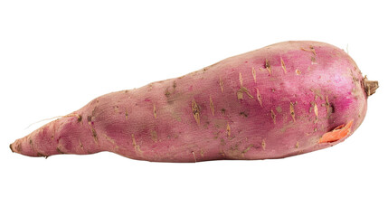 Sweet potato on transparent background