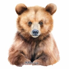 Realistic Illustration of a Cute Brown Bear Cub Portrait - Wildlife Art for Educational and Decorative Purposes