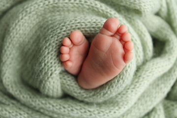 The tiny foot of a newborn. Soft feet of a newborn in a olive green woolen blanket. Close up of toes, heels and feet of a newborn baby. Studio Macro photography. Woman's happiness.