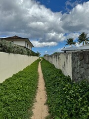 Beach path