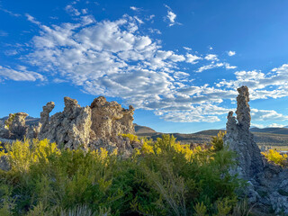 California Road Trippin - Luscious Landscapes and Mountains