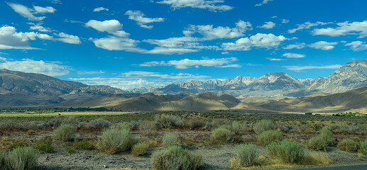 California Road Trippin - Luscious Landscapes and Mountains
