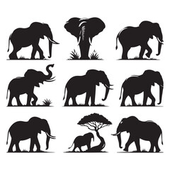 Set of elephant silhouettes isolated on a white background, Vector illustration.