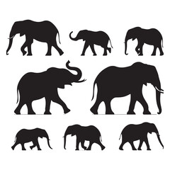 Naklejka premium Set of elephant silhouettes isolated on a white background, Vector illustration.