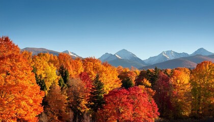 vibrant autumn forest with colorful red orange and yellow trees against a backdrop of serene mountains and a clear sky