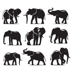 Obraz premium Set of elephant silhouettes isolated on a white background, Vector illustration.