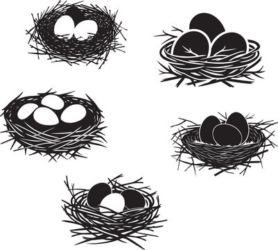 Silhouette of nest with eggs on branch icon