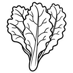 Obraz premium mustard greens vegetable outline coloring book page line art illustration digital drawing