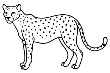 cheetah silhouette, cheetah line art vector illustration, leopard black silhouette vector
