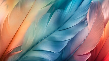 Obraz premium Close-up of Soft, Colorful Bird Feathers