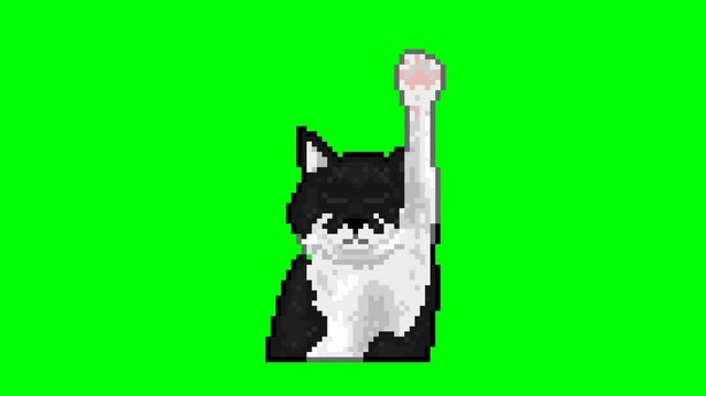 Black and white cat raising paw, pixel art meme