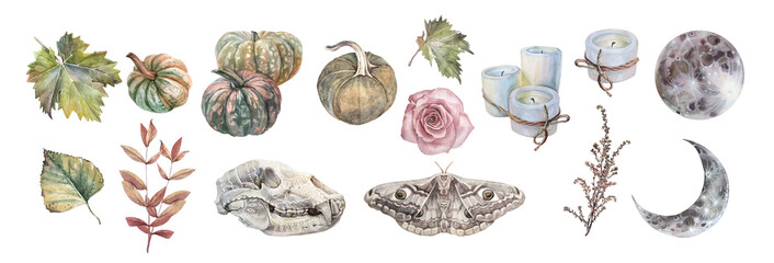 Watercolor Halloween set with boho bear skull with ornate and pumpkin and candle isolated on white background. Moon and vegetable for celebration. Hand-drawn autumn clipart for wallpaper or wrapping © NatashaKun