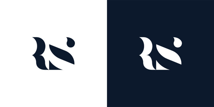 Abstract letter RS logo.