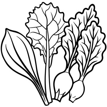 recommend clip art: swiss chard collard greens mustard greens vegetable outline coloring book page line art illustration digital drawing