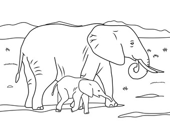 animal and bird drawing for coloring book