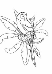 hand drawn illustration of a bird and animal