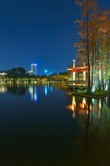 Fototapeta premium Foshan Thousand Lantern Lake Park's Lake Larch Night Lighting