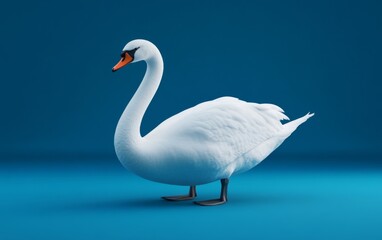 Fototapeta premium swan